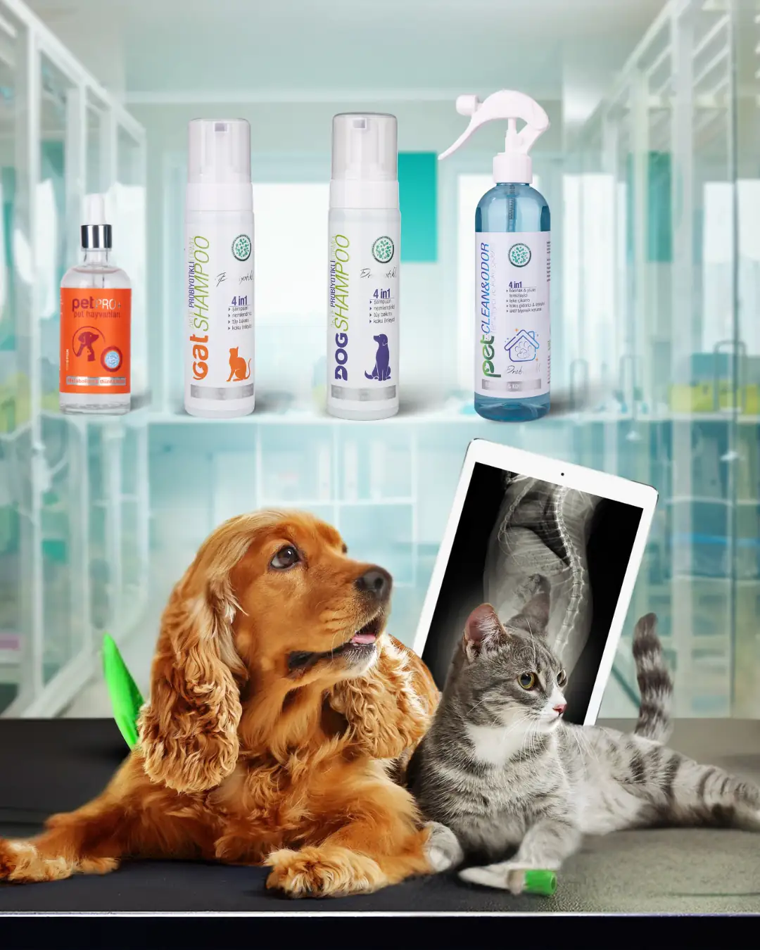 Vetorin Pet ürünleri ve bağırsak florasının bilimsel temelleri