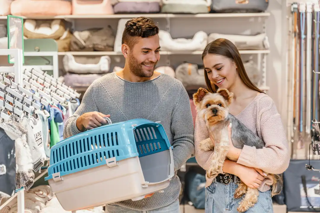Evcil hayvan bakım rehberi: Kedi ve köpekler için pratik öneriler