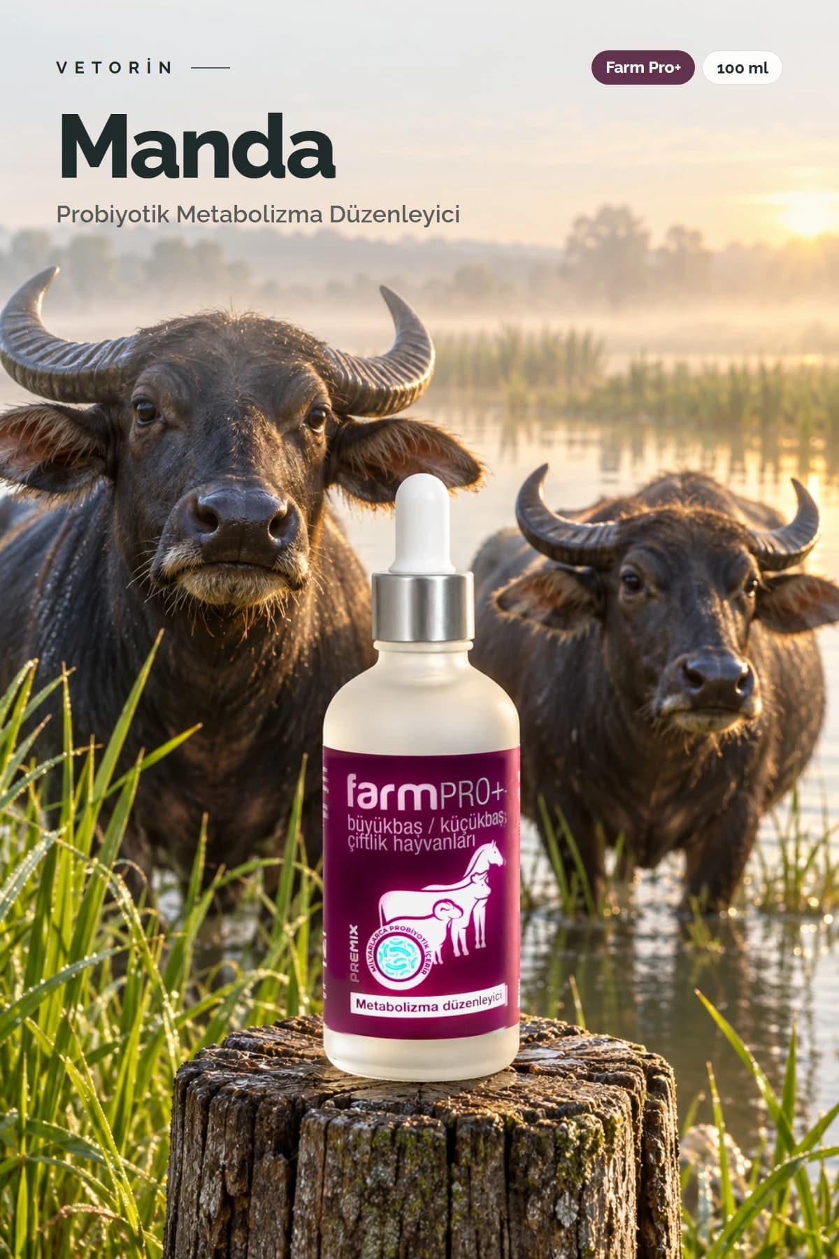 Probiyotikli Manda Metabolizma Düzenleyici 100 ml Farm Pro+, 1. görsel