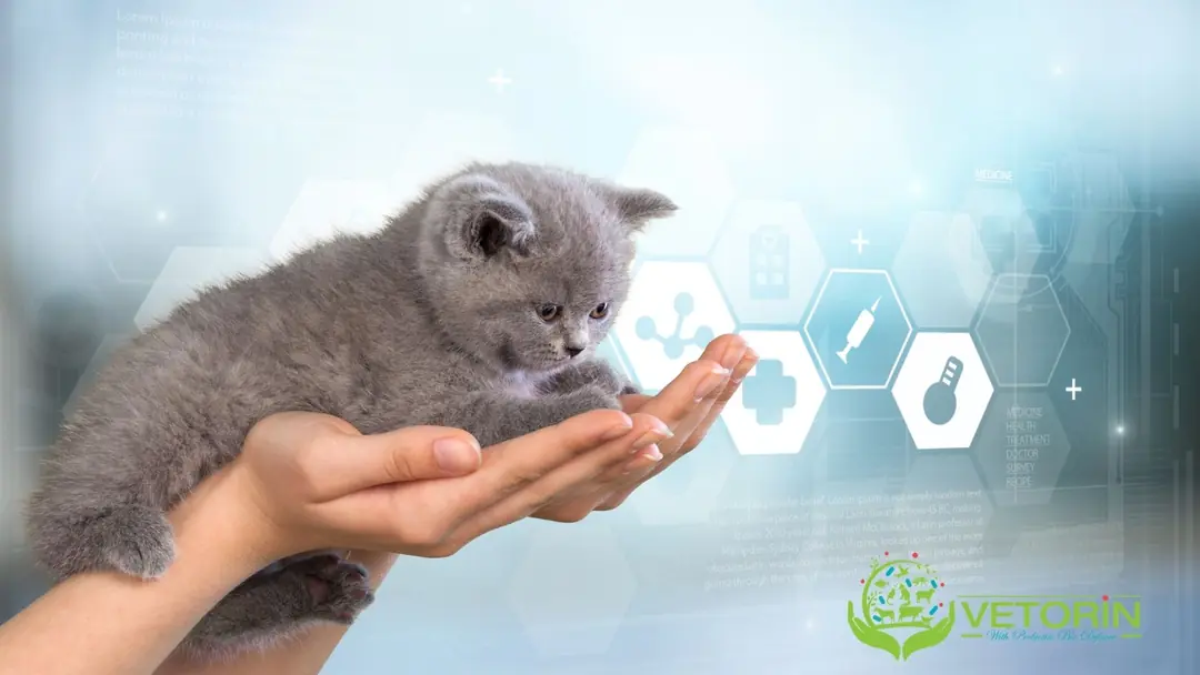 Kedi ve köpekler için probiyotikli bakım ürünleri